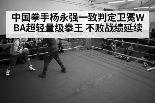 boxer training gym